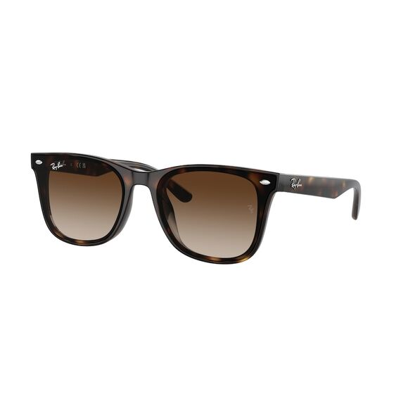 Ray-Ban RB 4420 710/13 Güneş Gözlüğü