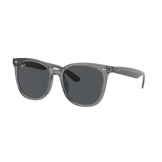 Ray-Ban RB 4379D 659987 Güneş Gözlüğü